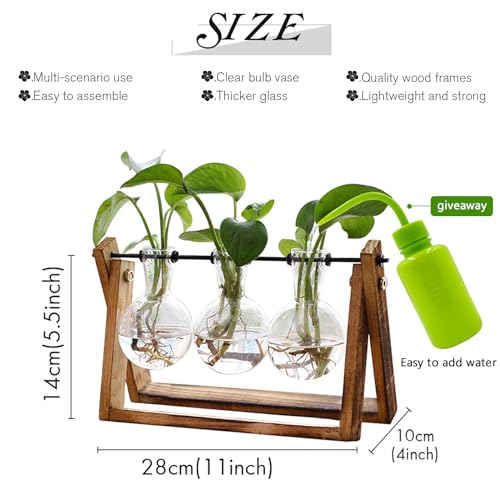 Plant Terrarium with Wooden Stand